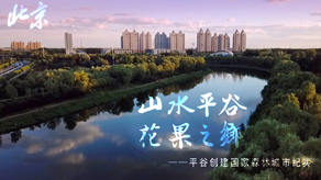 北京森林城市创建申报宣传片_龙腾国际棋牌